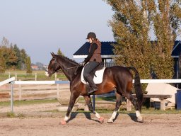 IMG_7478_web